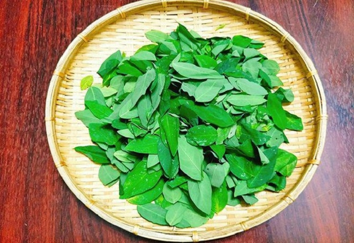 Ăn nắm rau này "bổ ngang thịt bò", ở quê mọc um tùm nhiều người không biết mà ăn - Ảnh 2.
