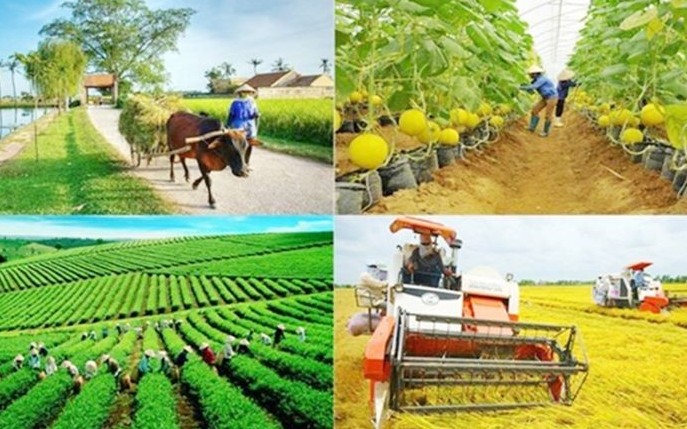 Thống nhất quản lý kinh phí chi thường xuyên thực hiện các chương trình mục tiêu quốc gia