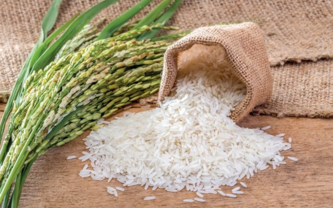 Ngày 6/6: Giá lúa tại Đồng bằng sông Cửu Long ổn định, gạo xuất khẩu tăng