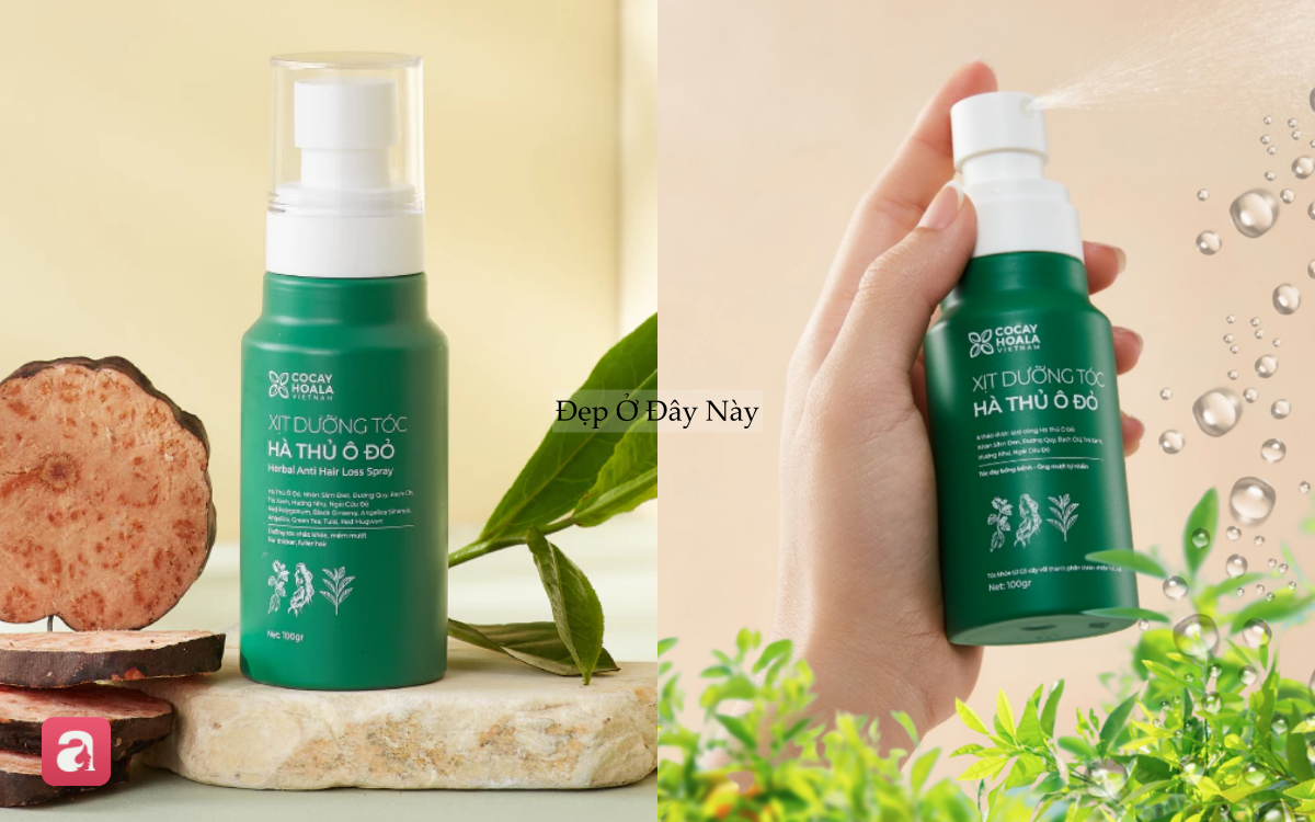 5 lọ dưỡng serum tóc "made in Vietnam" được nhiều chị em yêu thích vì giúp tóc mọc tua tủa, giảm rụng thấy rõ - Ảnh 5.