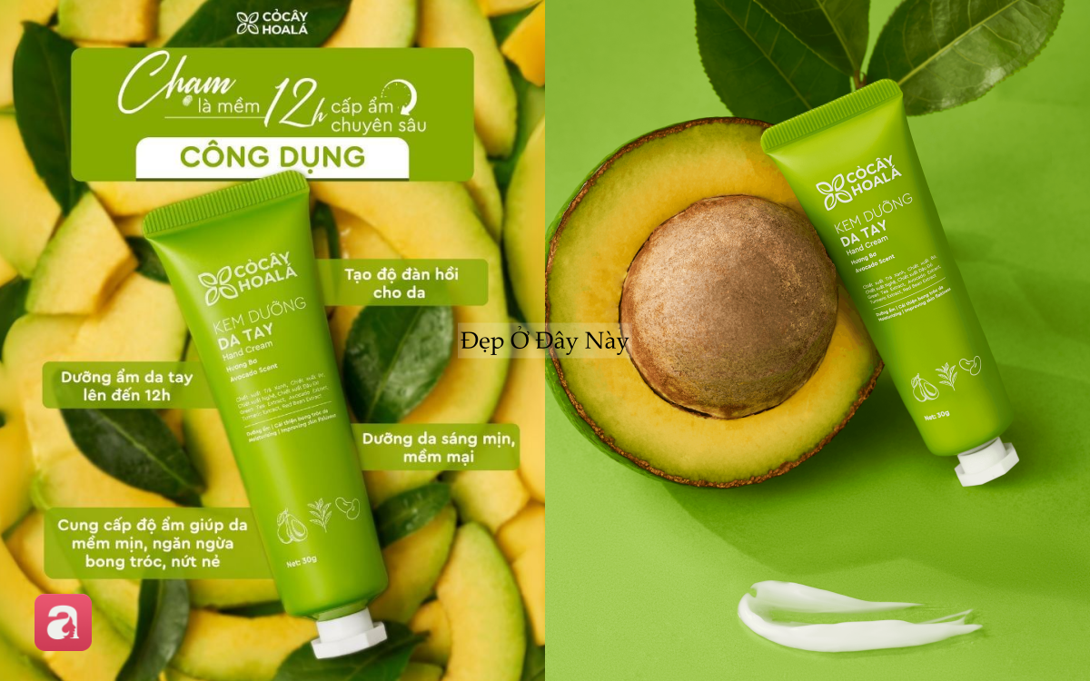 5 lọ kem dưỡng tay “made in Vietnam” giá bình dân nhưng hiệu quả khiến ai dùng cũng mê- Ảnh 6.
