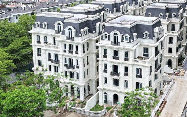Cận cảnh BST dinh thự siêu sang giữa Ciputra: diện tích sàn cả ngàn m2, sổ đỏ trao tay ngay khi nhận nhà- Ảnh 3.