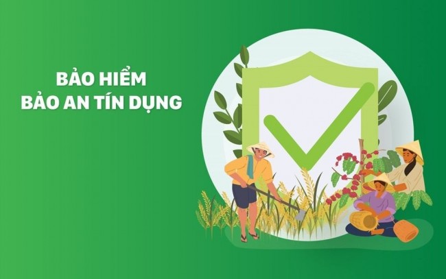 Tranh chấp bảo hiểm 