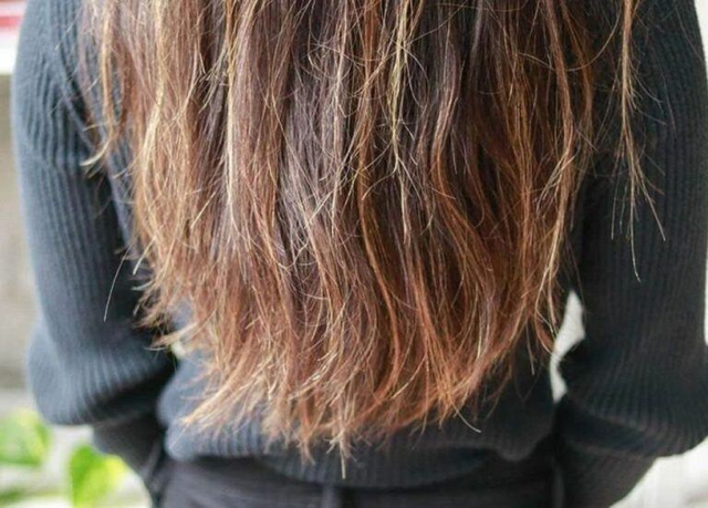 Bôi thứ này lên tóc trước khi gội đầu, tóc khô xơ mấy cũng mềm mượt: Hợp từ tóc nhuộm đến uốn xoăn, làm 1 lần thấy rõ kết quả- Ảnh 1.