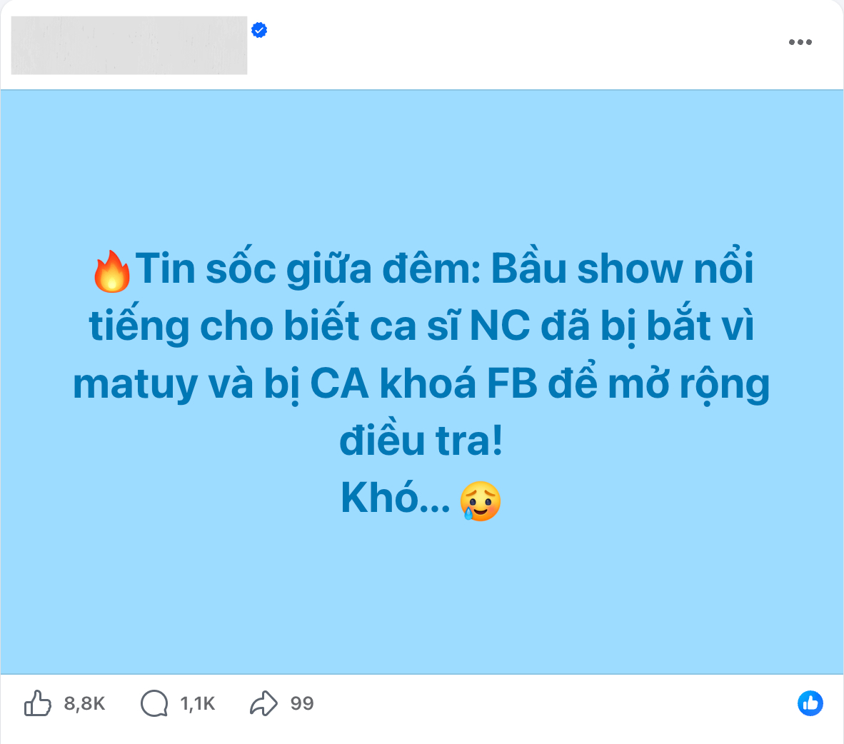 Xôn xao tin ca sĩ N.C bị bắt- Ảnh 2.
