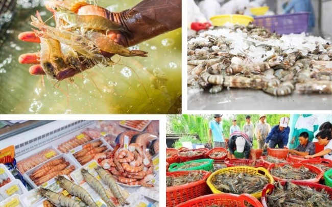 Nguồn cung nông sản dồi dào, giá cả cơ bản ổn định trong nửa đầu năm 2026