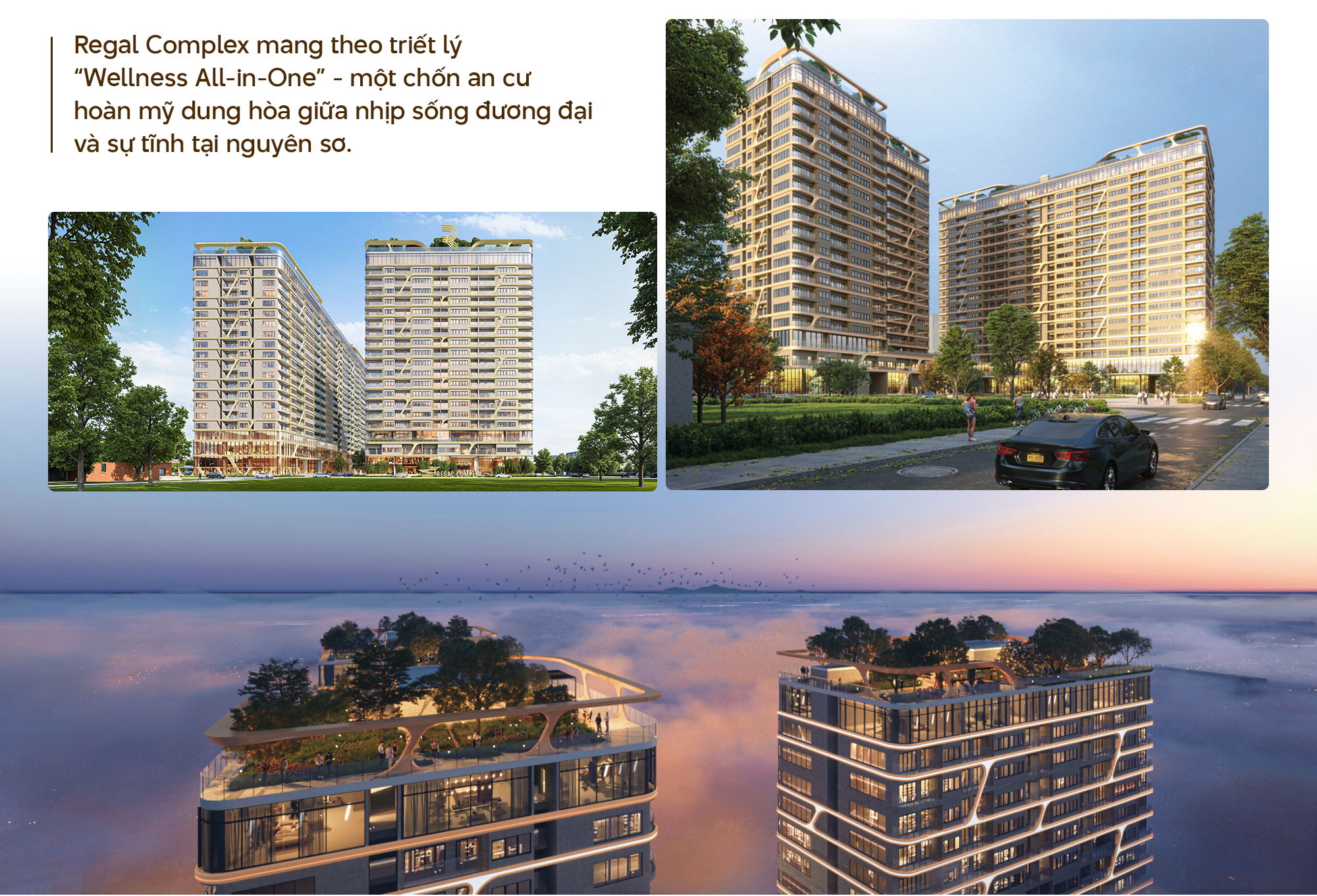 Regal Complex: Tĩnh tại đích thực giữa nhịp sống phồn hoa - Ảnh 2.