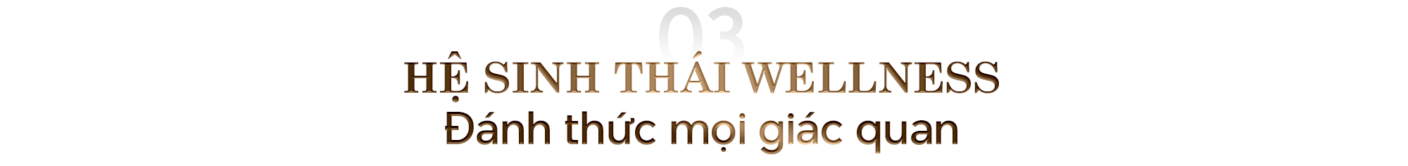 Regal Complex: Tĩnh tại đích thực giữa nhịp sống phồn hoa - Ảnh 5.