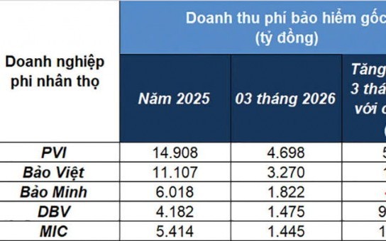 Doanh nghiệp bảo hiểm phi nhân thọ 
