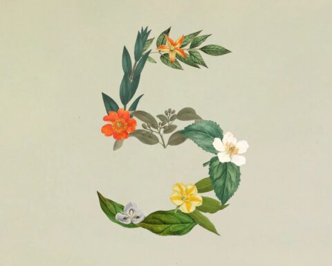 Anthropic ra mắt Claude Sonnet 5: Ngang ngửa Opus 4.8 nhưng giá chỉ bằng một nửa