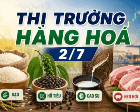 Thị trường hàng hóa 2/7: Heo hơi giảm diện rộng, gạo và hồ tiêu tiếp tục đi ngang