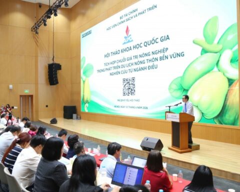 Tích hợp chuỗi giá trị ngành điều trong phát triển du lịch nông thôn