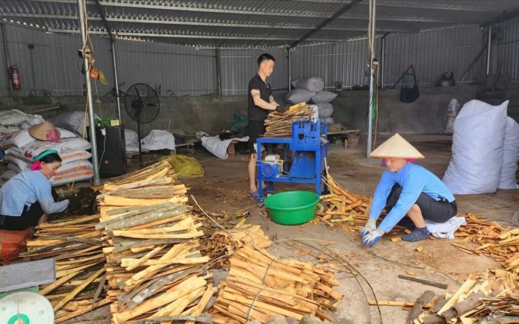 Quảng Ninh: Hơn 214.000 tỷ đồng “chảy” vào khu vực kinh tế tư nhân trong 6 tháng đầu năm