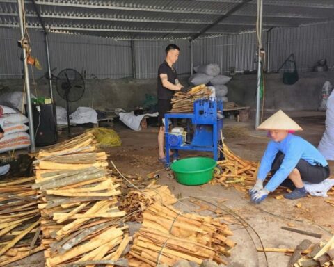 Quảng Ninh: Hơn 214.000 tỷ đồng “chảy” vào khu vực kinh tế tư nhân trong 6 tháng đầu năm