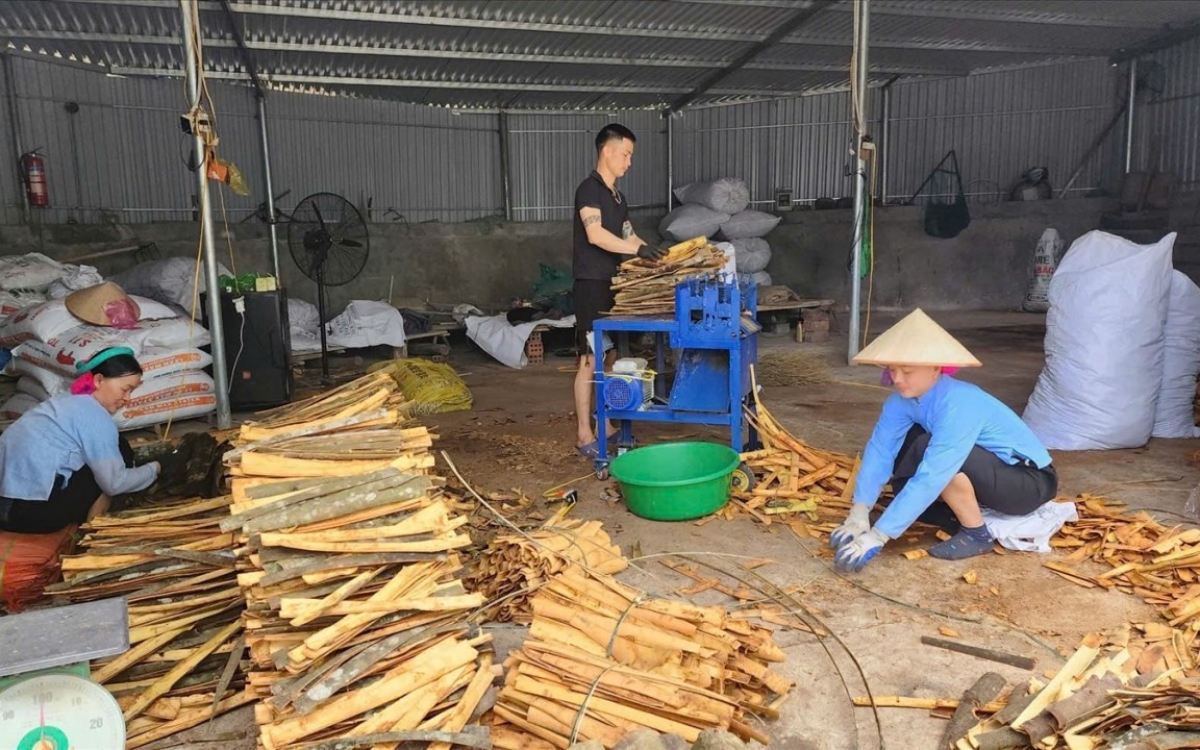 Quảng Ninh: Hơn 214.000 tỷ đồng “chảy” vào khu vực kinh tế tư nhân trong 6 tháng đầu năm