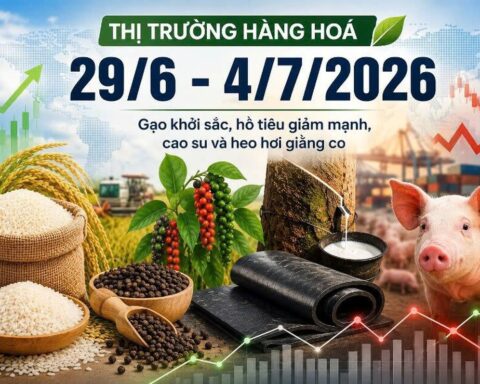 Thị trường hàng hóa tuần qua (29/6 – 4/7): Gạo khởi sắc, hồ tiêu giảm mạnh, cao su và heo hơi giằng co