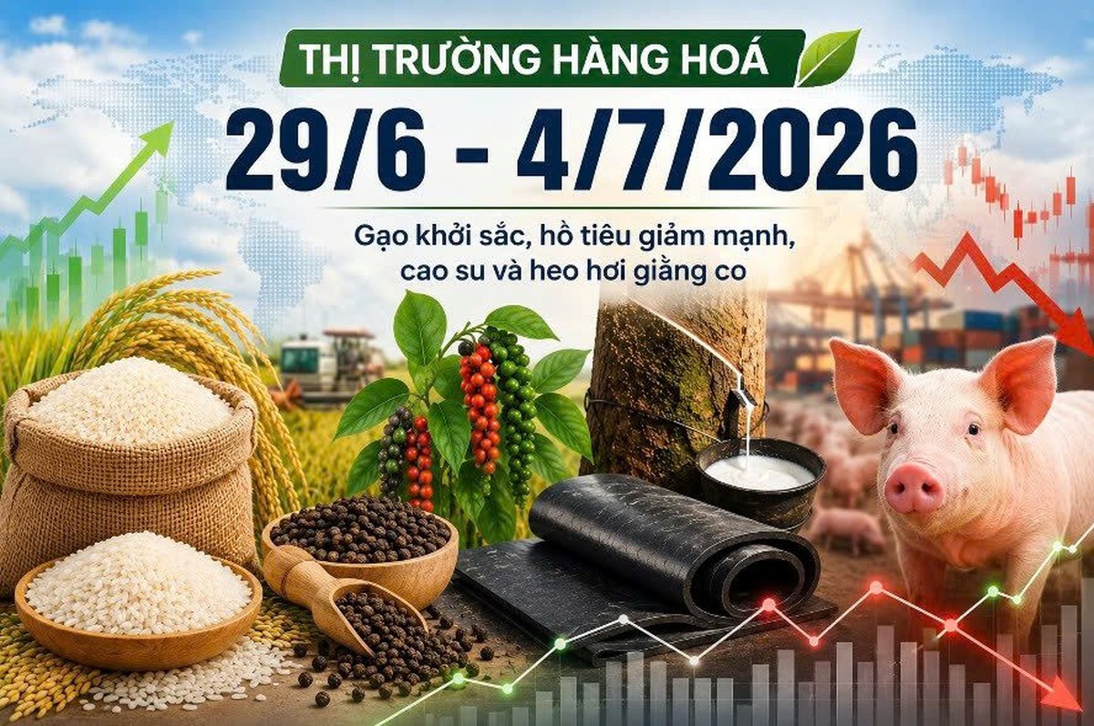 Thị trường hàng hóa tuần qua (29/6 – 4/7): Gạo khởi sắc, hồ tiêu giảm mạnh, cao su và heo hơi giằng co