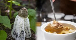Thực phẩm chứa kali gấp 42 lần chuối, hấp hay luộc đều ngon: Nên ăn nhiều vào tháng 7 để hỗ trợ tiêu hóa, bảo vệ gan, giảm mệt mỏi, tăng miễn dịch
