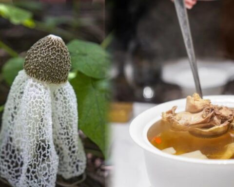Thực phẩm chứa kali gấp 42 lần chuối, hấp hay luộc đều ngon: Nên ăn nhiều vào tháng 7 để hỗ trợ tiêu hóa, bảo vệ gan, giảm mệt mỏi, tăng miễn dịch