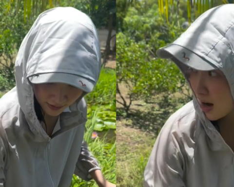 Việt Nam không có mỹ nhân nào giống Baifern hơn “em gái miền Tây” này