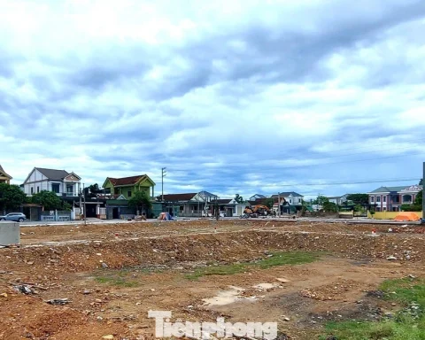 Đất đấu giá vùng quê cao gấp hơn 4 lần khởi điểm, nhiều lô rao bán chênh tiền tỷ