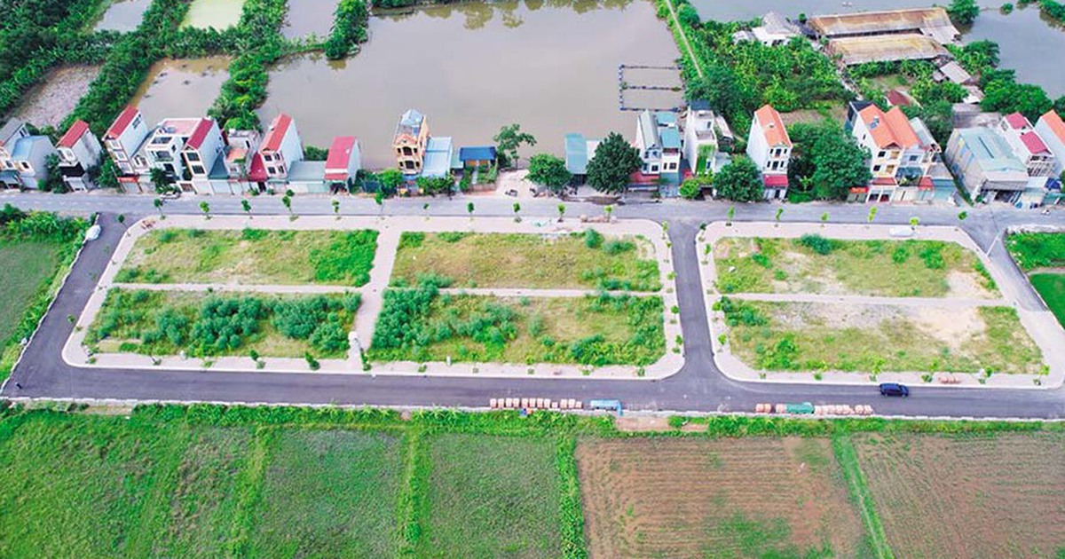 Nghiên cứu tăng mức đặt cọc đấu giá đất lên 20 – 50%