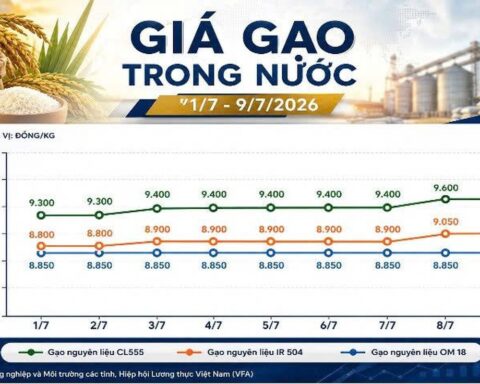 Thị trường hàng hóa ngày 9/7: Hồ tiêu phục hồi, cao su giữ đà tăng