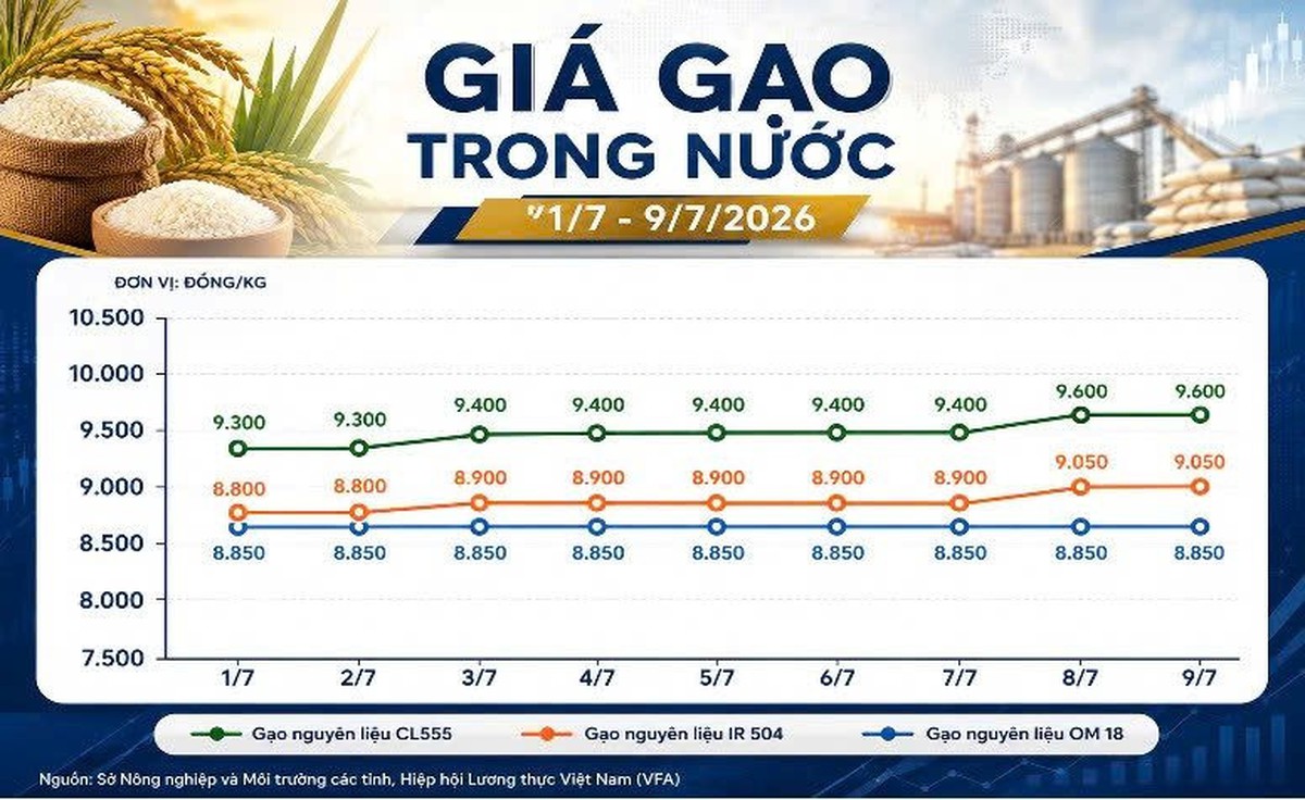 Thị trường hàng hóa ngày 9/7: Hồ tiêu phục hồi, cao su giữ đà tăng