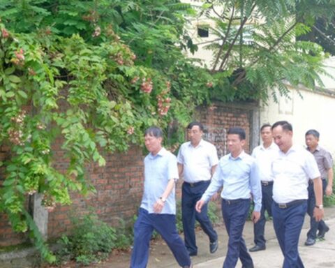 Hà Nội phấn đấu hoàn thành bàn giao đất nông, lâm trường về địa phương trong tháng 8-2026