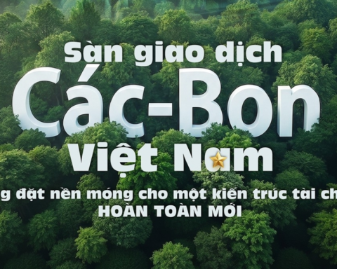 Sàn giao dịch các-bon – Việt Nam đang đặt nền móng cho một kiến trúc tài chính hoàn toàn mới
