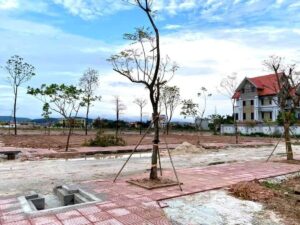 Thị trường đất đấu giá phân hóa: Nơi giảm sâu 30%, nơi ngược dòng giữ sóng