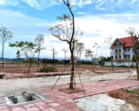 Thị trường đất đấu giá phân hóa: Nơi giảm sâu 30%, nơi ngược dòng giữ sóng