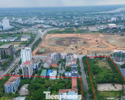 Khu ‘đất vàng’ hơn 4ha đấu giá thành công vẫn chịu cảnh bỏ hoang nhiều năm