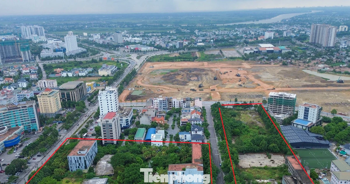Khu ‘đất vàng’ hơn 4ha đấu giá thành công vẫn chịu cảnh bỏ hoang nhiều năm