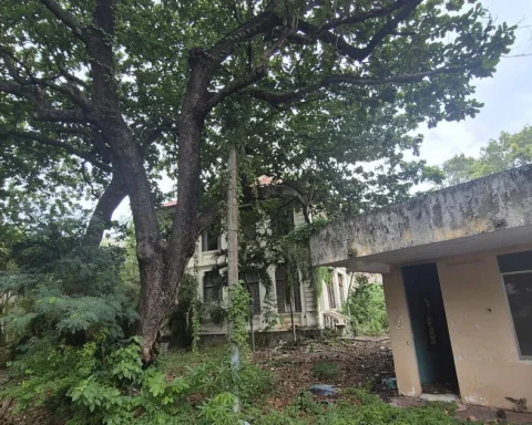 Cận cảnh hàng loạt trụ sở ‘hoang phế’ tại trung tâm Vũng Tàu