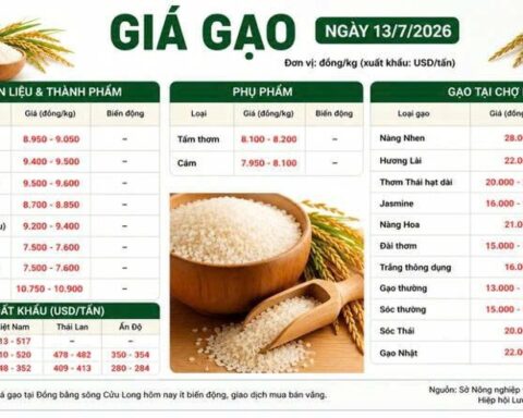 Thị trường hàng hoá 13/7: Giá hồ tiêu tích cực, heo hơi tăng nhẹ