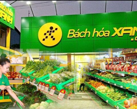 MWG thu hơn 95.000 tỷ trong nửa năm, Bách Hóa Xanh cứ mở cửa hàng là có lãi