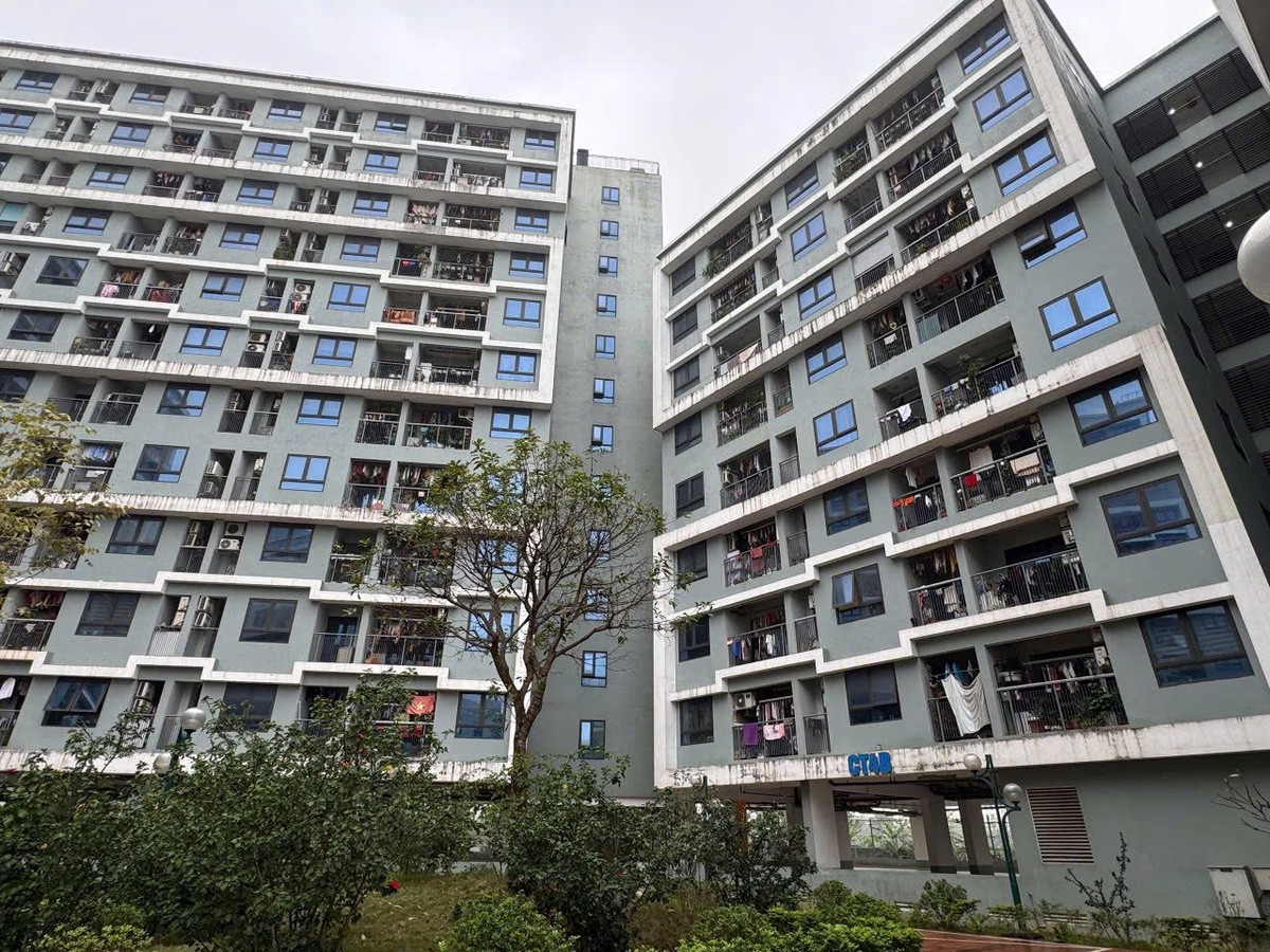 Chưa có bảng lương đủ liên tiếp 12 tháng, có đủ điều kiện hồ sơ mua nhà ở xã hội?