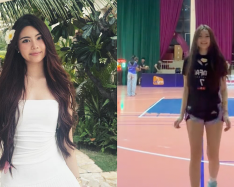 Đôi chân của Hạt Dẻ