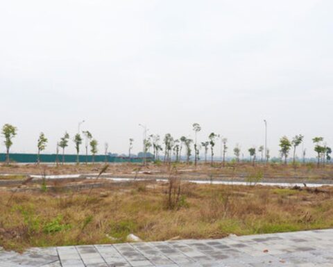 Đấu giá đất đã qua thời kỳ phải mua bằng mọi giá