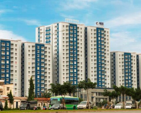 Năm Bảy Bảy hoàn tất bán cổ phiếu quỹ