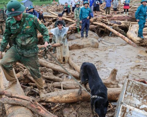 ‘Chiến binh 4 chân’ từng tìm kiếm người ở Làng Nủ, nay vào Mường Than cứu nạn