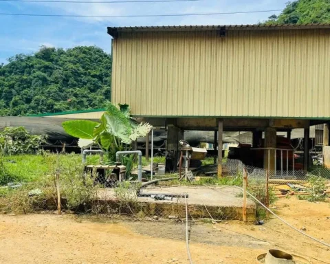 Cận cảnh trại lợn ở Thanh Hóa, nơi xảy ra vụ tai nạn khiến 5 người chết