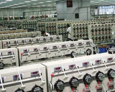 Một công ty trên sàn chỉ có 6 nhân sự báo lãi tăng trưởng 400%, chuẩn bị trả cổ tức 2.000 đồng/cp
