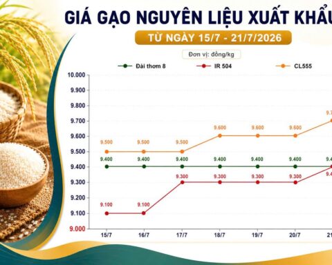 Thị trường hàng hoá 21/7: Gạo nguyên liệu nhích giá, cao su quốc tế duy trì sắc xanh