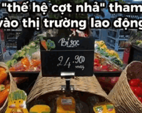 “Thế hệ cợt nhả” đi làm ở siêu thị Thảo Điền: Sáng tạo level max, hơn 2 triệu người phải bật cười nghiêng ngả
