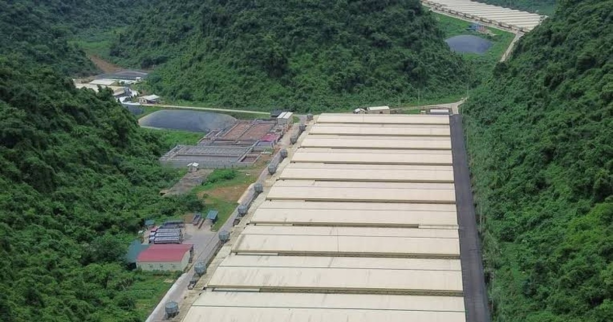 Dabaco lên tiếng về tai nạn lao động tại Thanh Hóa