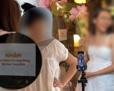 “Hội meo meo” đổ bộ quán cà phê – nam châm hút khách hay nỗi ám ảnh khiến khách hàng không dám quay lại?