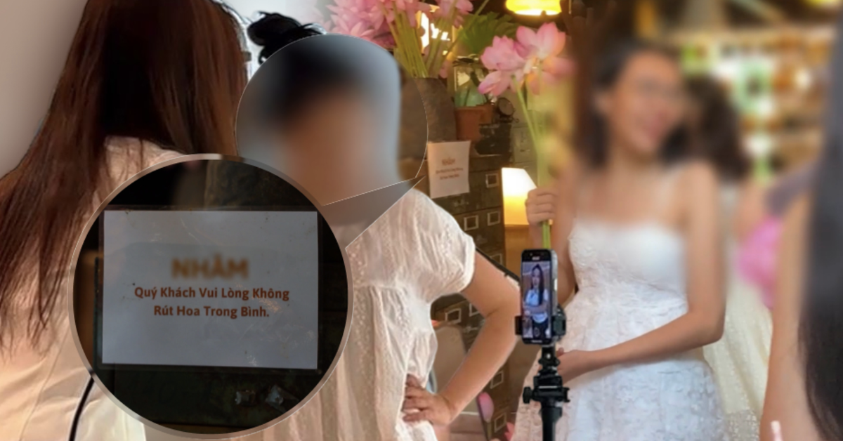 “Hội meo meo” đổ bộ quán cà phê – nam châm hút khách hay nỗi ám ảnh khiến khách hàng không dám quay lại?