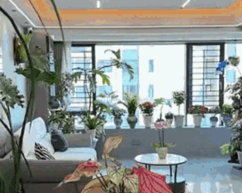 Dụi mắt 1 tỷ lần trước “căn hộ trên không” của pháp sư Trung Hoa: Trồng hơn 200 chậu cây đẹp quên cả mặt đất